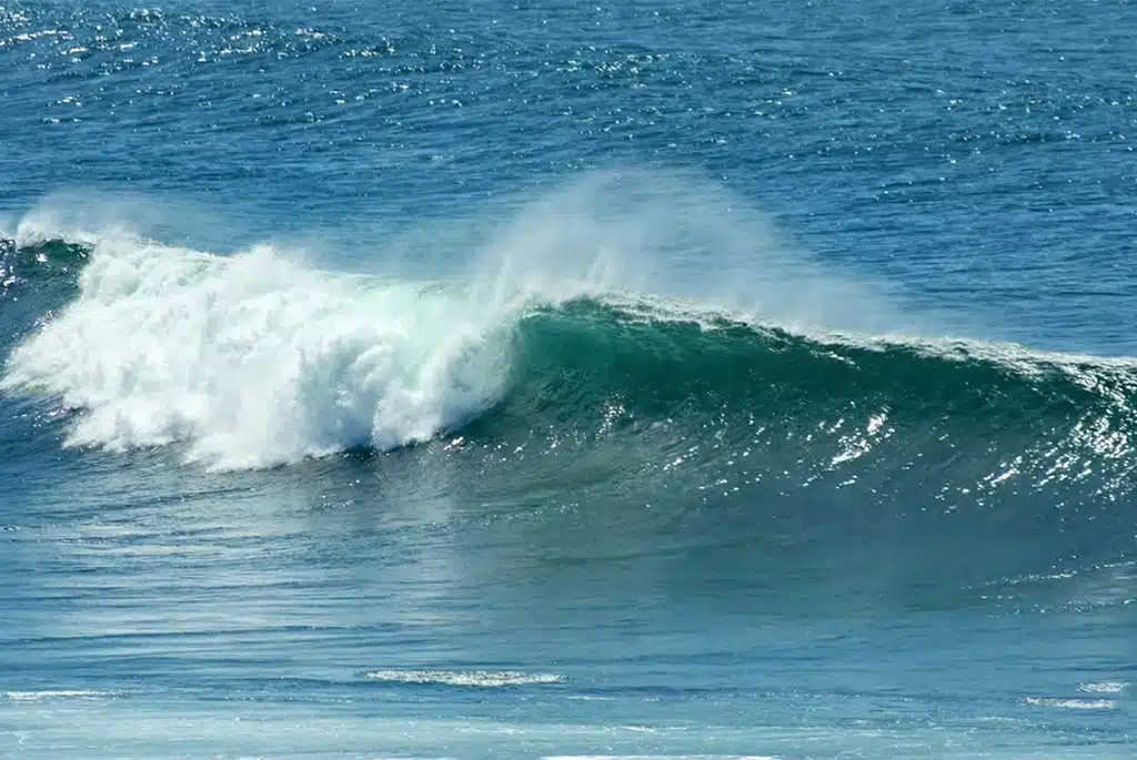 Cary left ericeira portugal - Sea Krew Ericeira